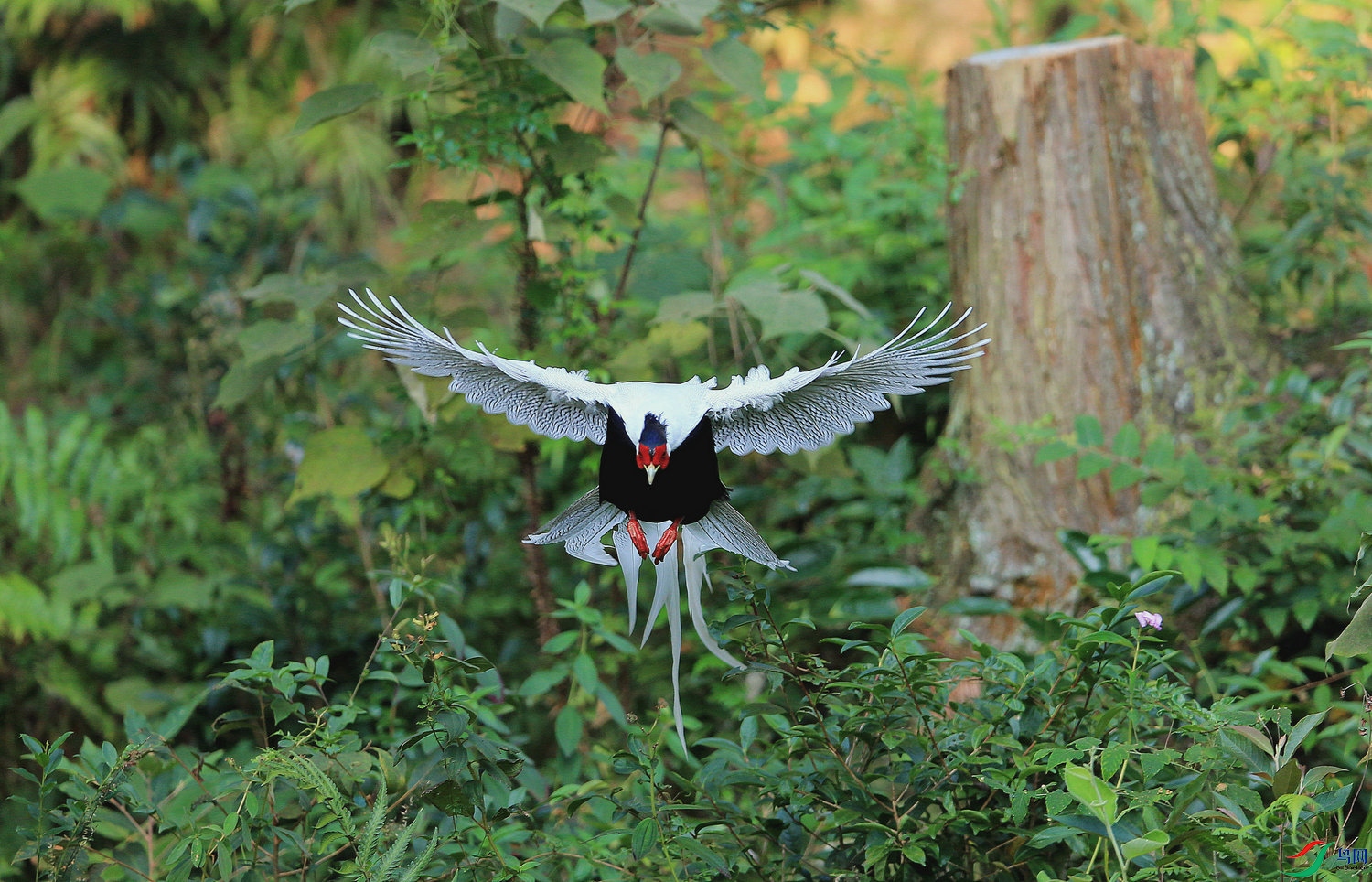 ���� DN4W9041.jpg