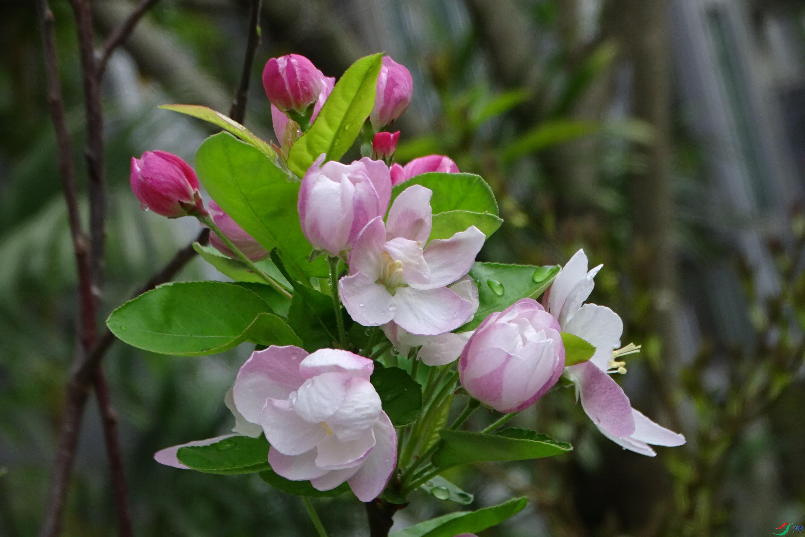 DSC08814_���ٿ�ͼ.jpg