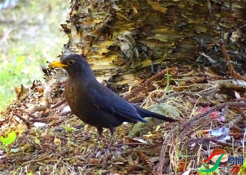 DSC00902.JPG