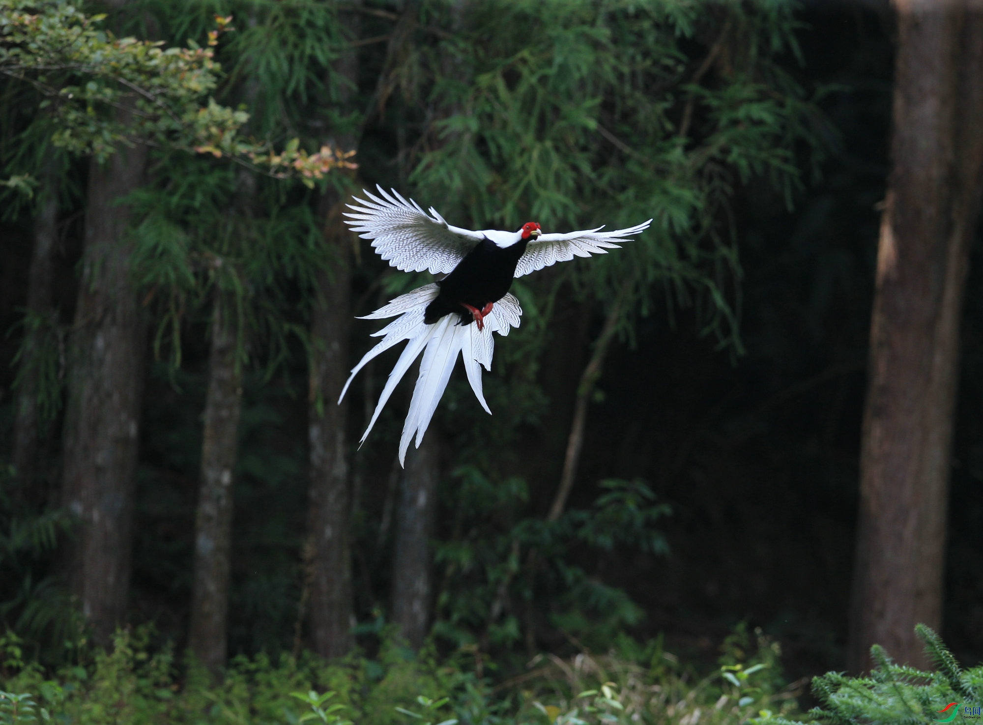 ���� DN4W9984.jpg