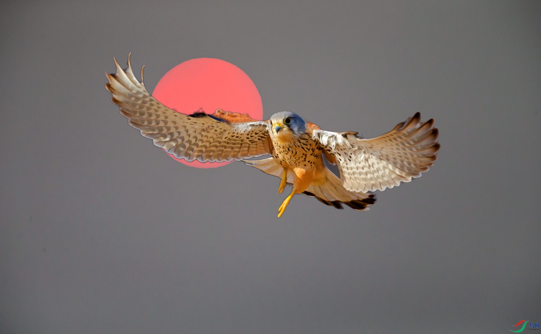 0D7A4450-mask-composite-(8).jpg