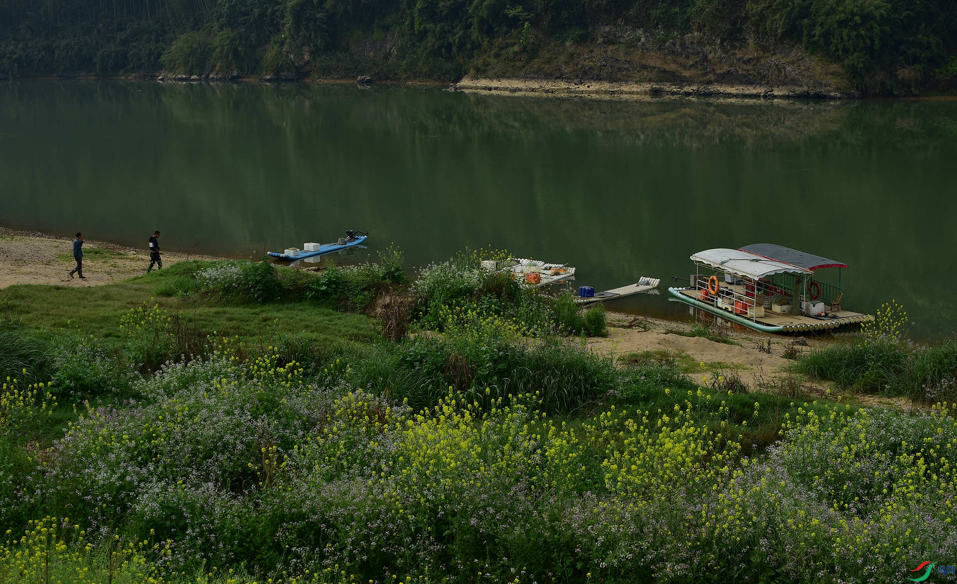 D8I_5207.jpg