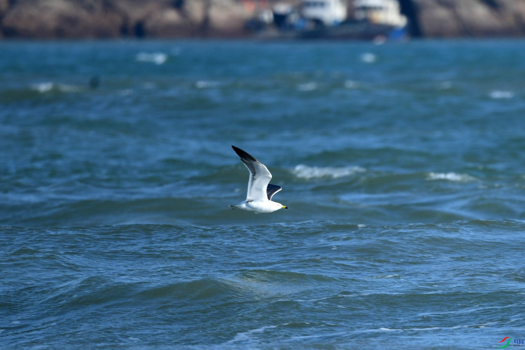 DSC_1822_����.jpg���ɹ�.jpg