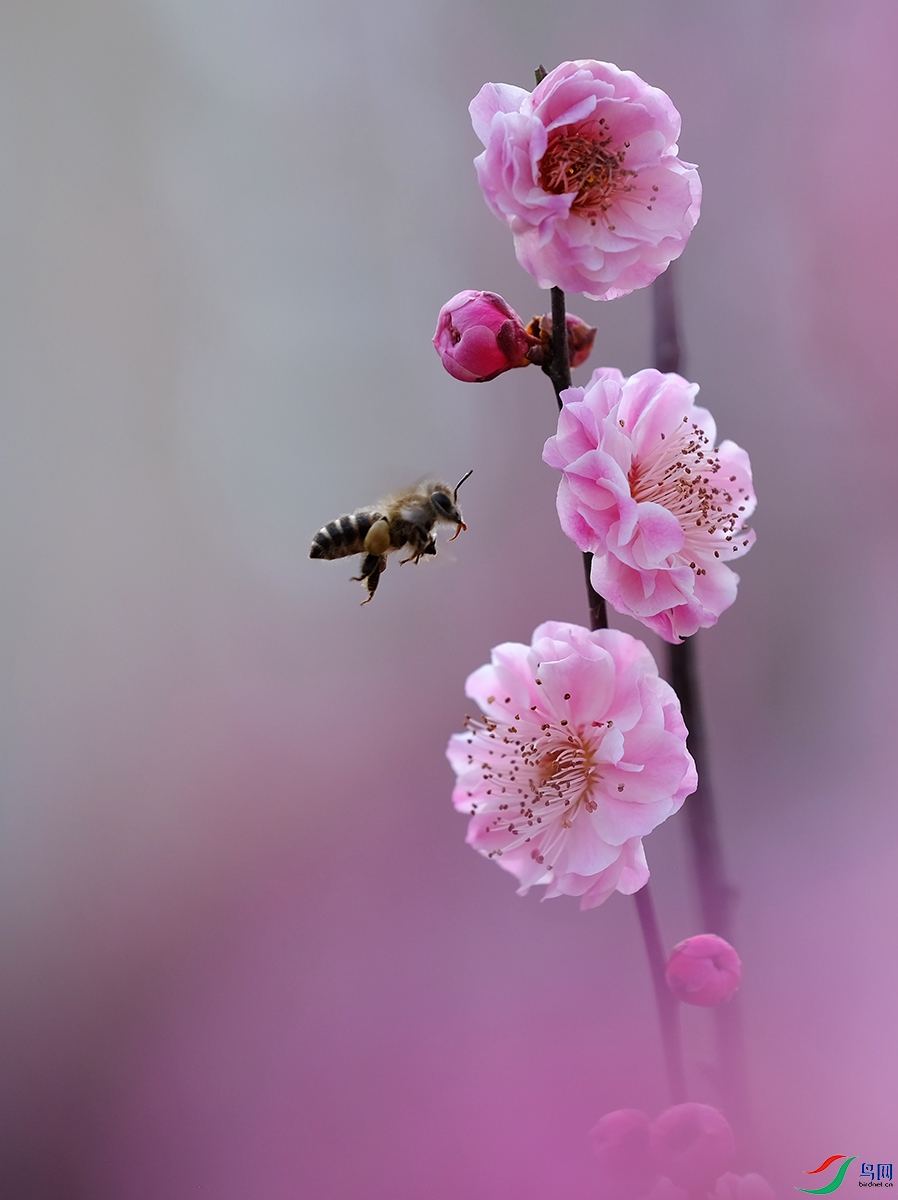 DSCF7256 B.JPG