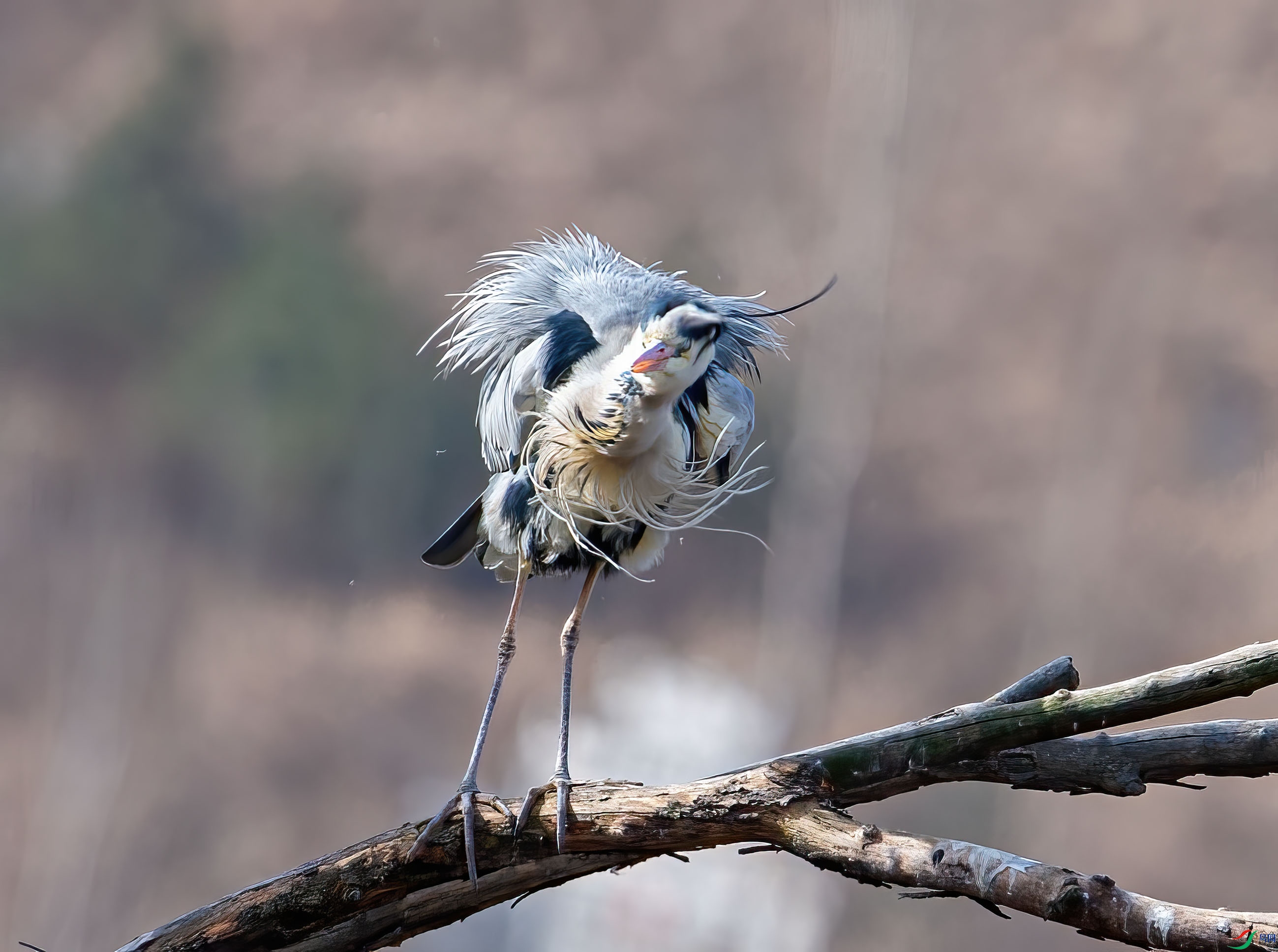 DSC_2310.jpg