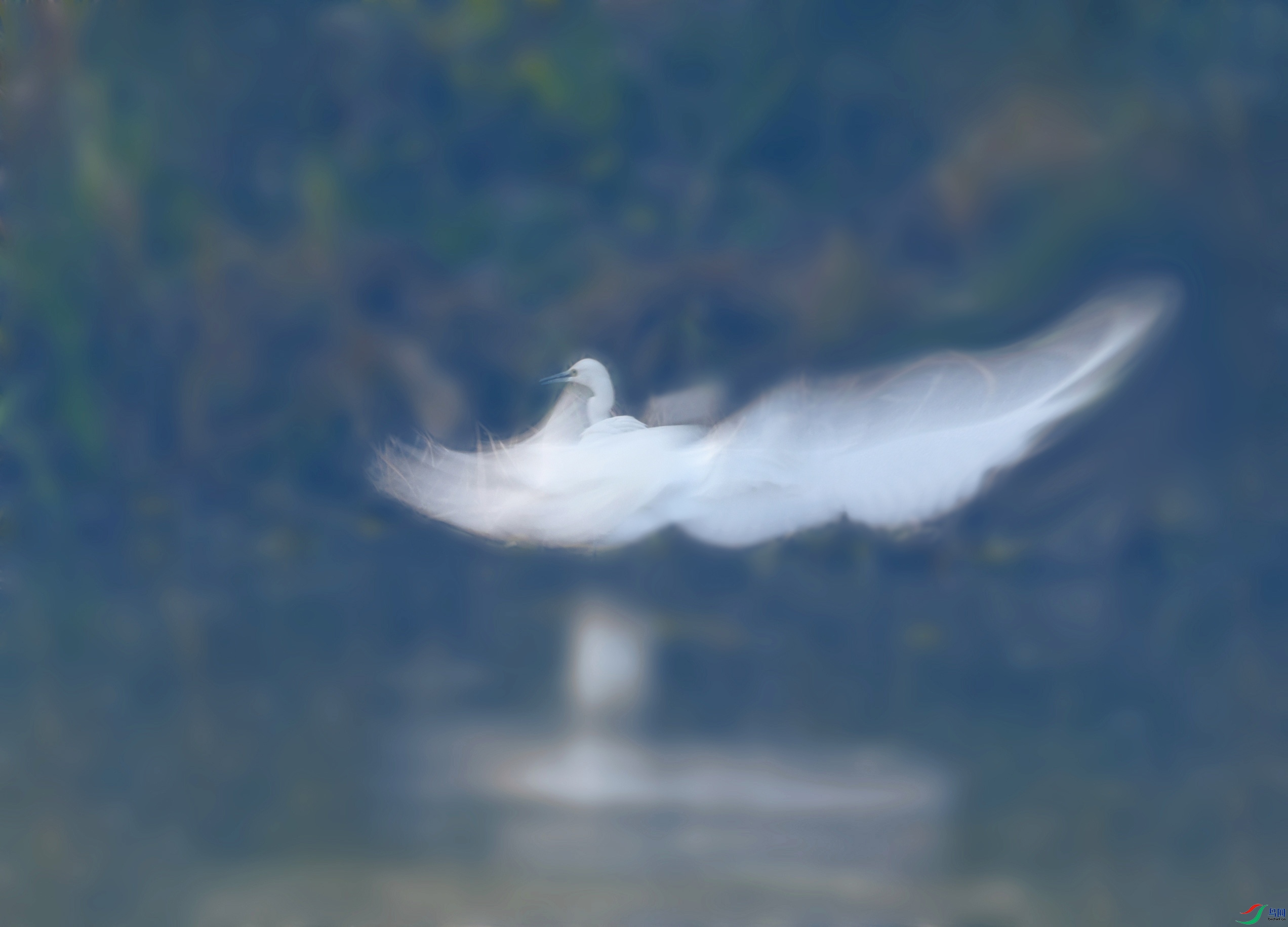 DSC_1158-.jpg