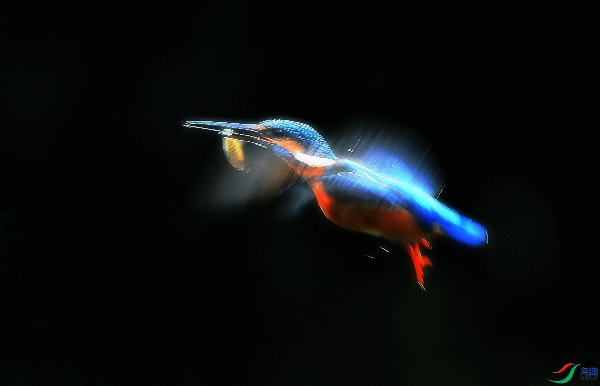 DSC_0068.JPG