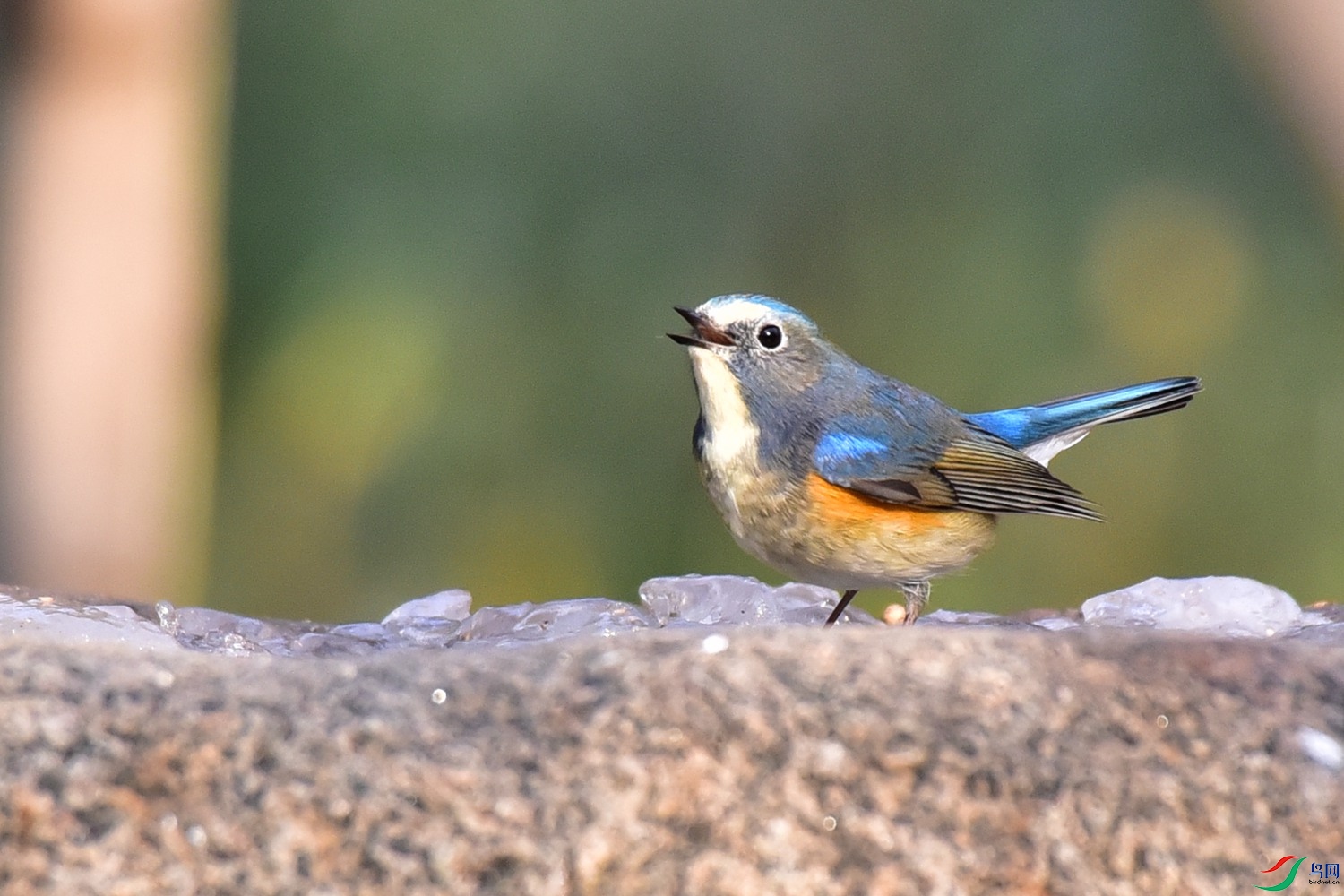 DSC_8637.JPG