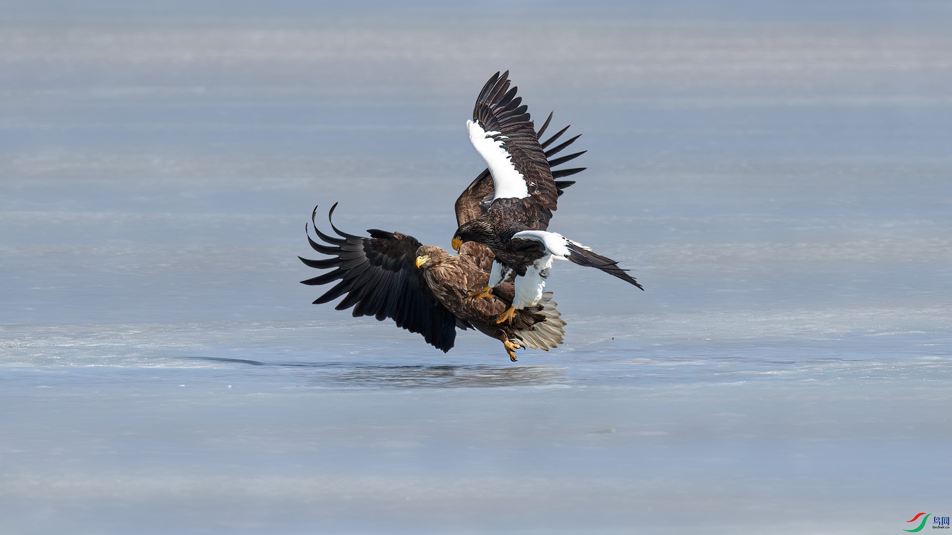 1DX_7388 ���� 2.jpg