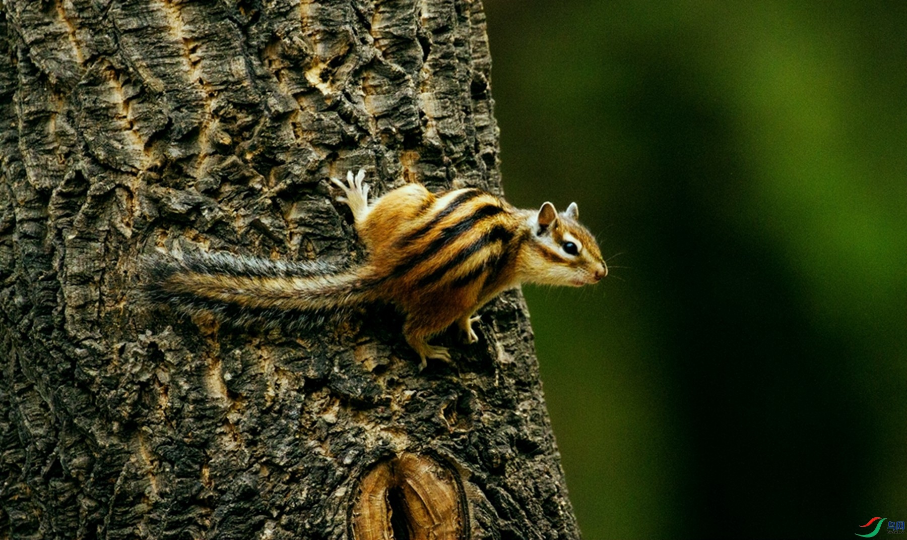 ���۽� (1).jpg