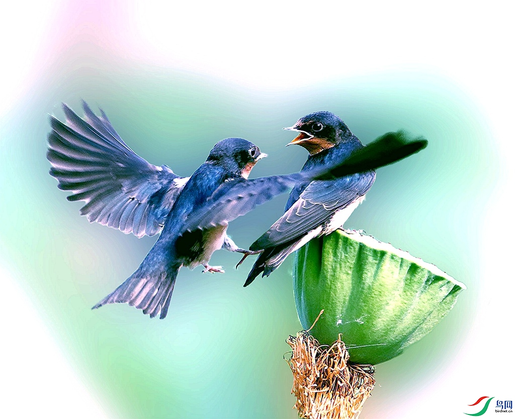 1D4A2095_���� - ����_����_����_����.jpg