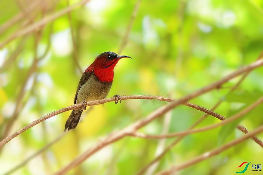 DSC_4684.jpg