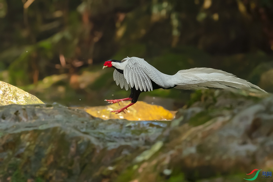 6DSC_3600_DxOa.jpg