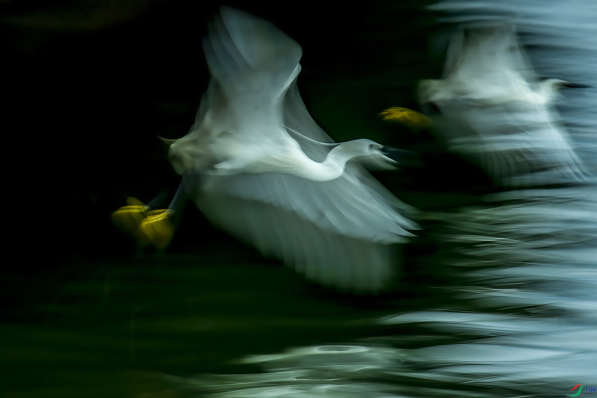 DSC_4231_1_����.jpg