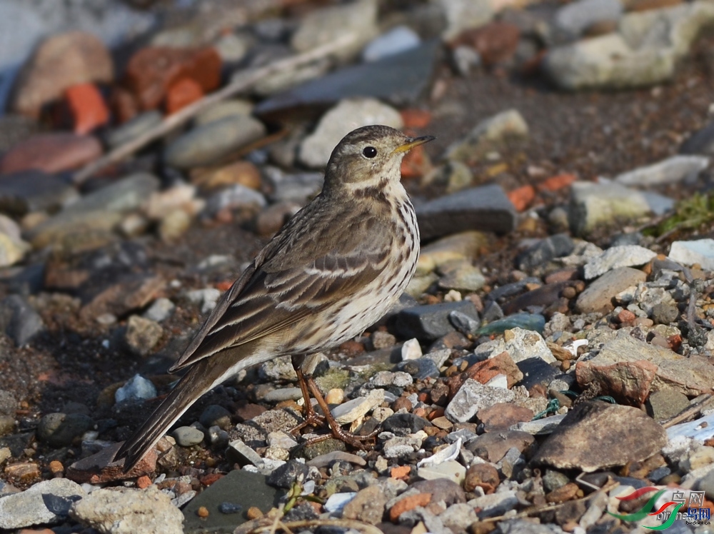 ˾ͽ����  ��ʦ�����ں���ʡ������.jpg