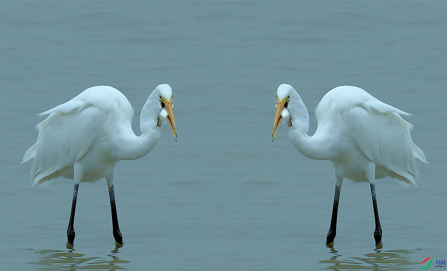 BD0I9785-NW.jpg