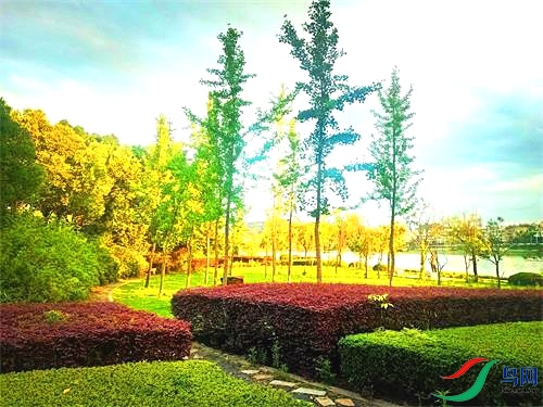 ΢��ͼƬ_20220316110055 - ����.jpg