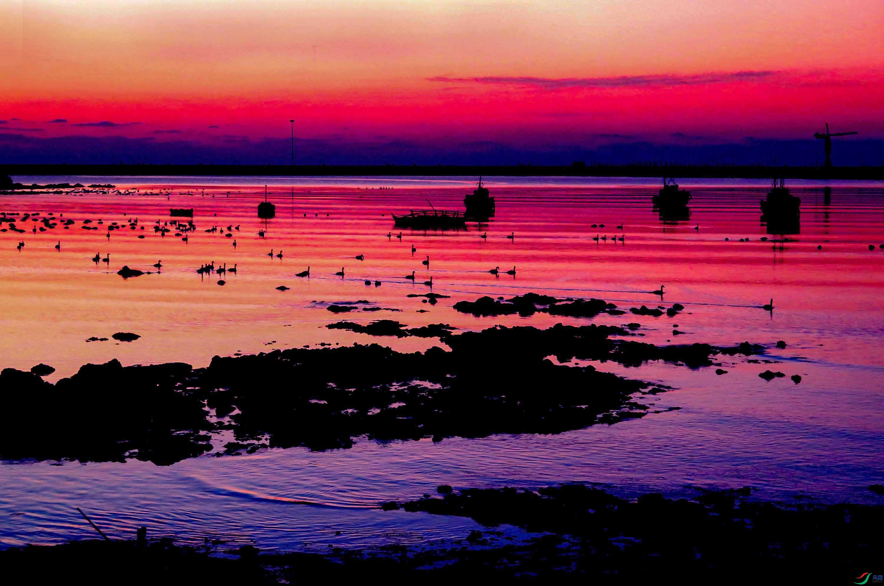 ���ض�Ӱ������ �������ˣ�----.jpg