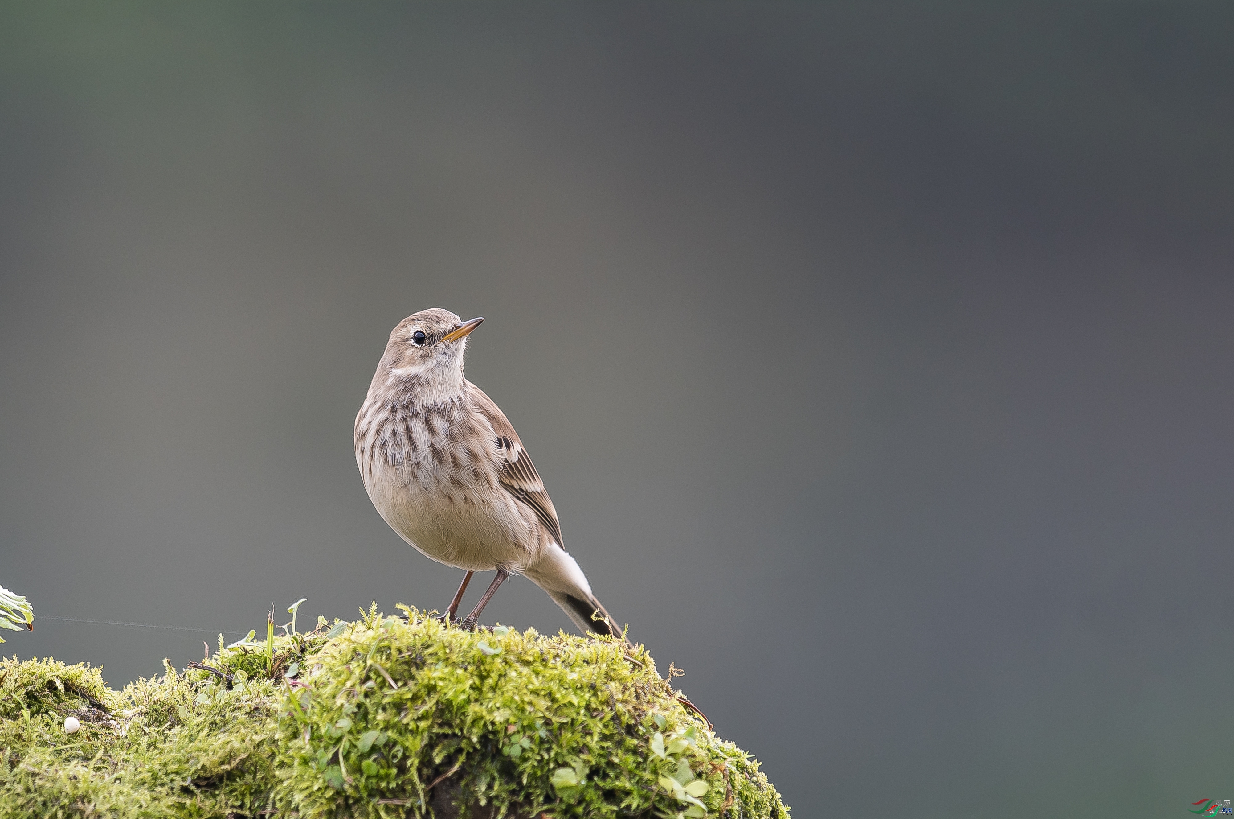 �Ӵ�  ��ʦ����.jpg