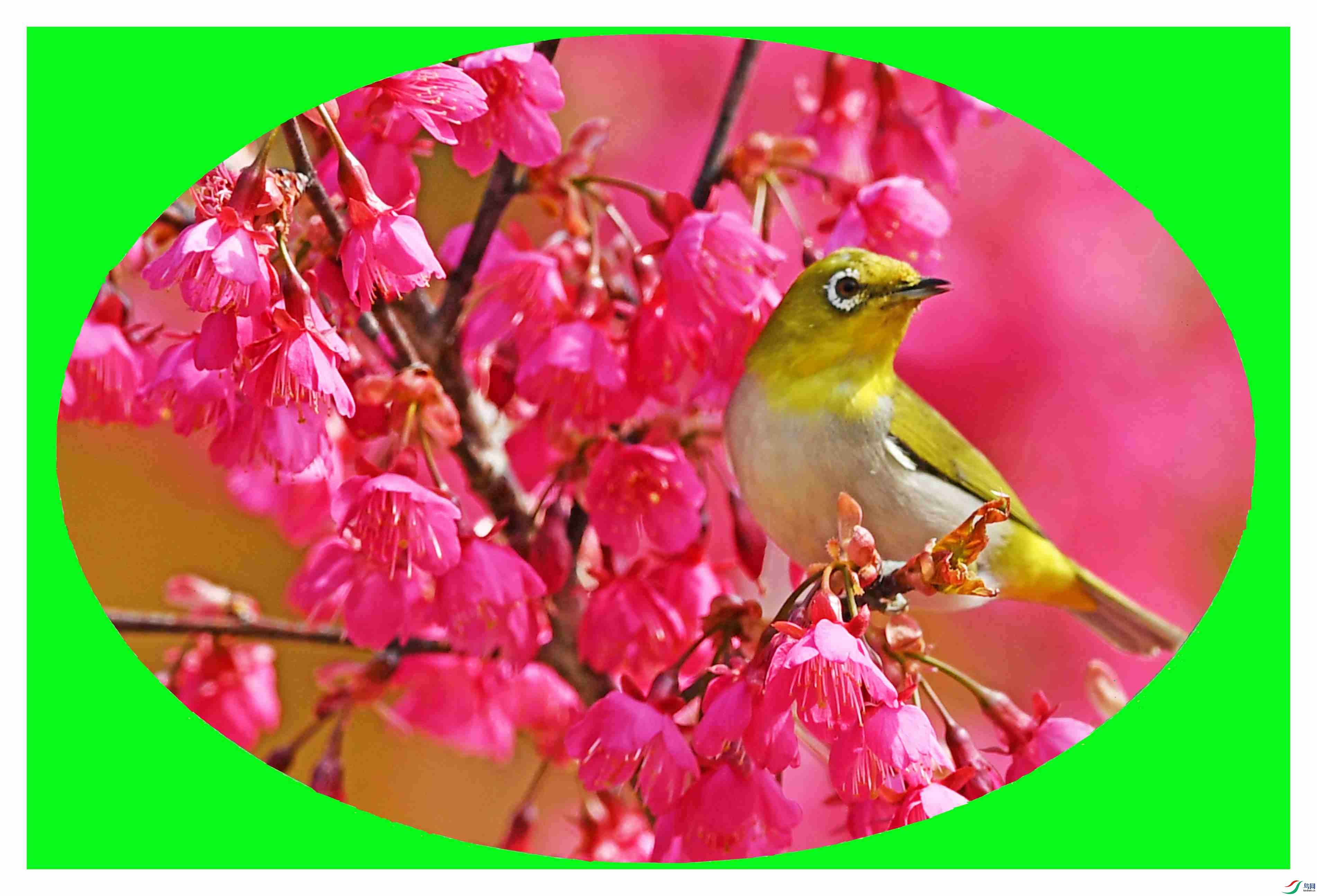 [����] ���-Բ������-ӣ���ϵ� �� �� �� (����ͼ).jpg