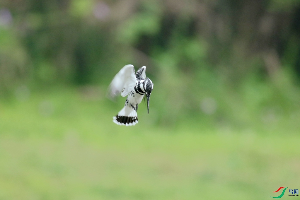 367A3730 (2)_����.jpg