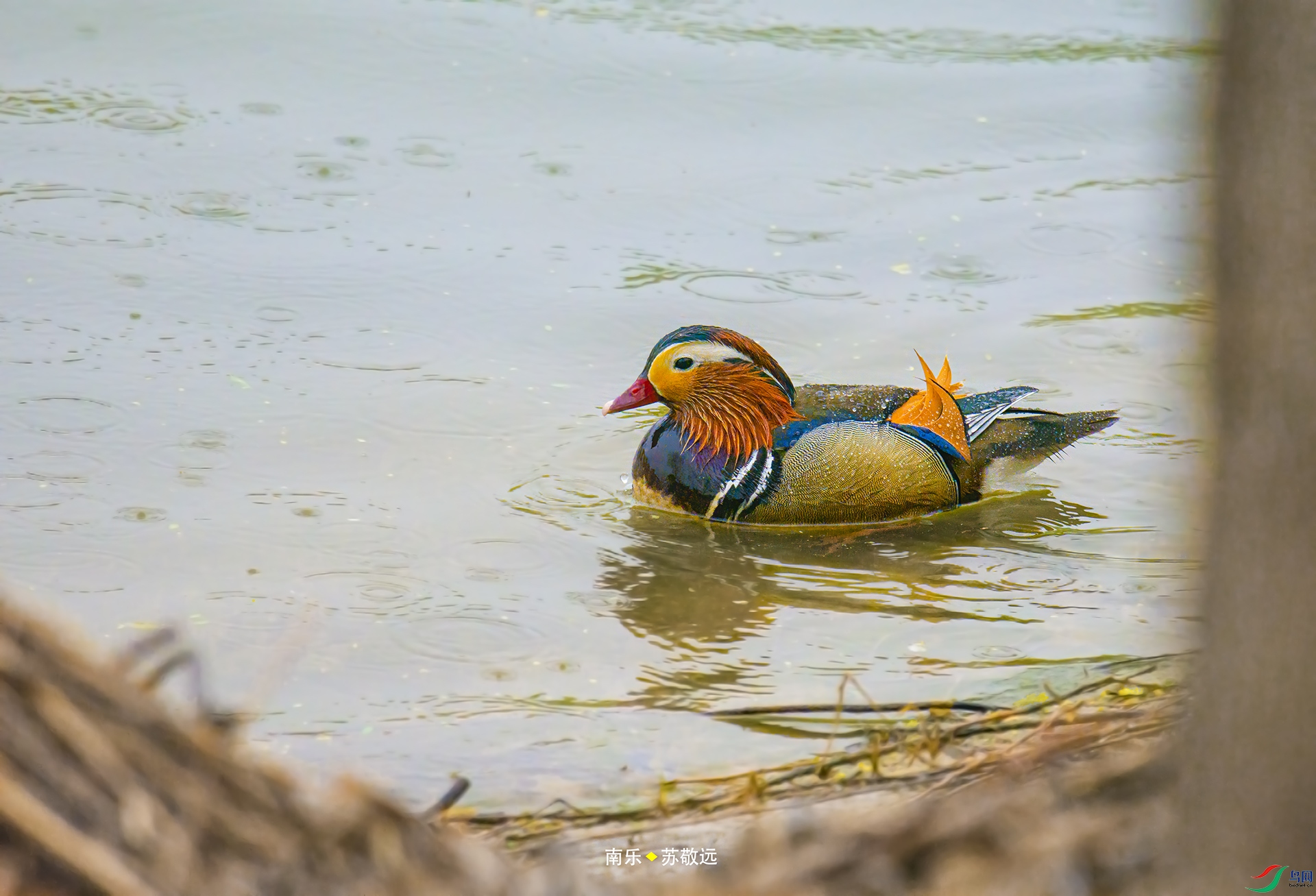 _DSC5577С.jpg