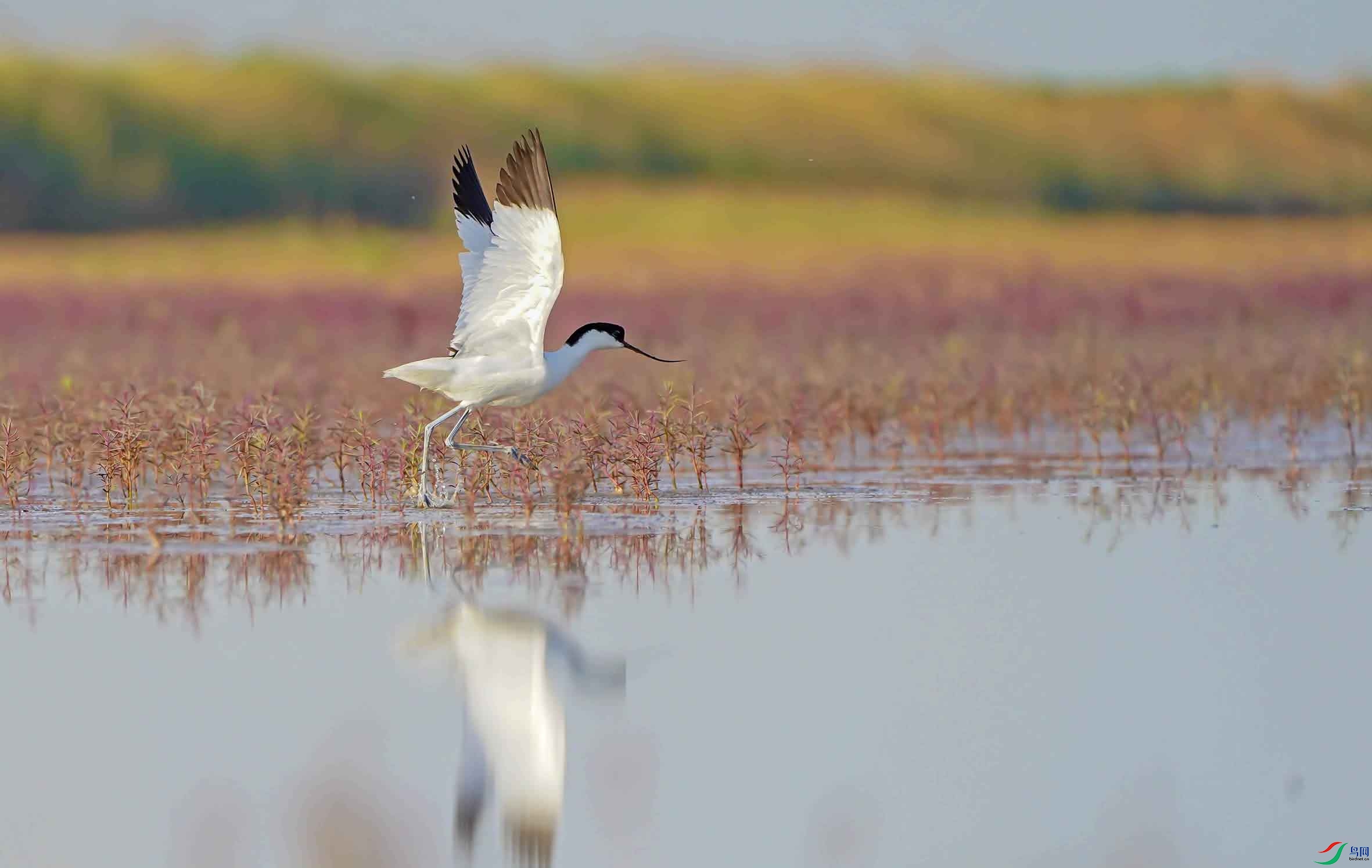 DSC05670-3 - ����.jpg