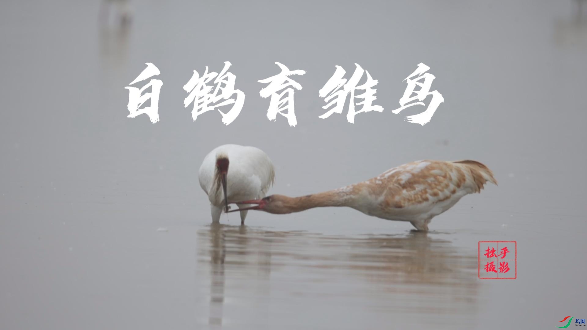 202203161938-����.jpg