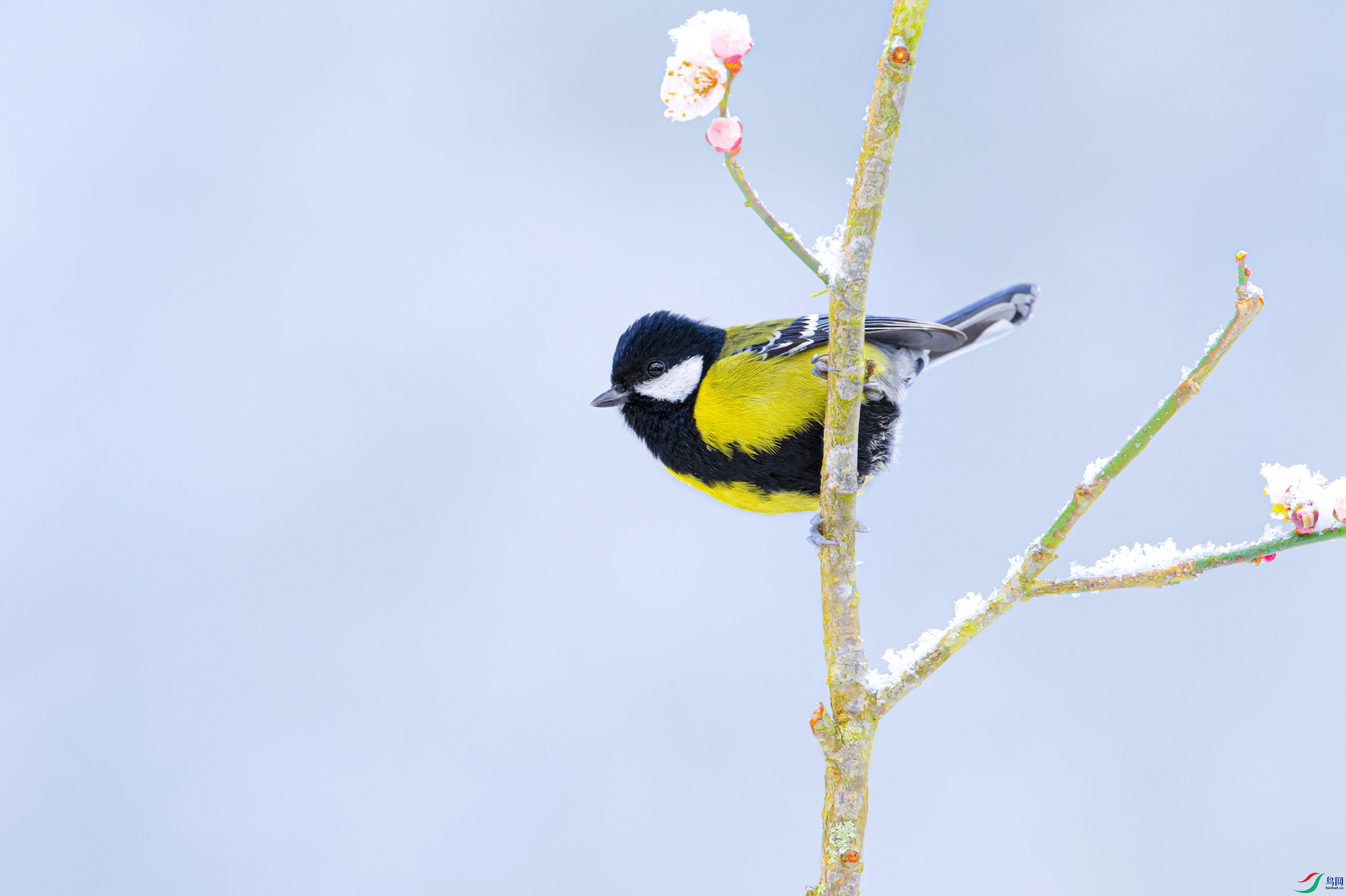_DSC7176_DxO.jpg