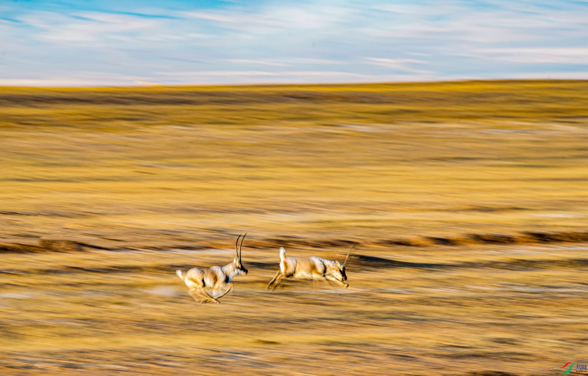 _DSC2262_����.jpg