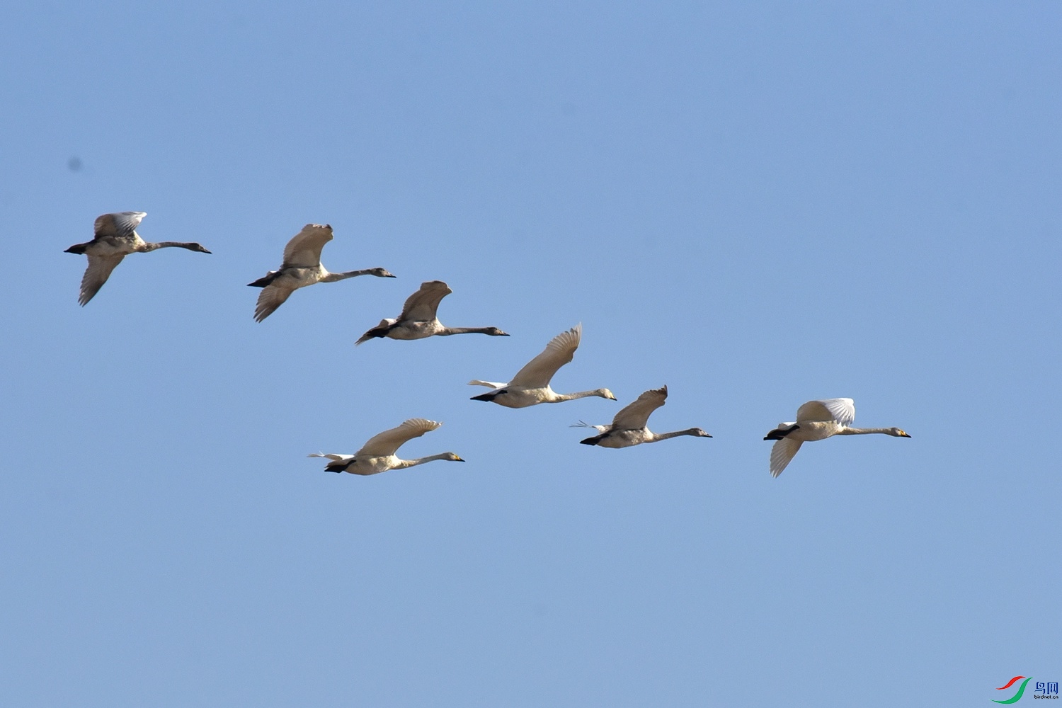DSC_3976.JPG