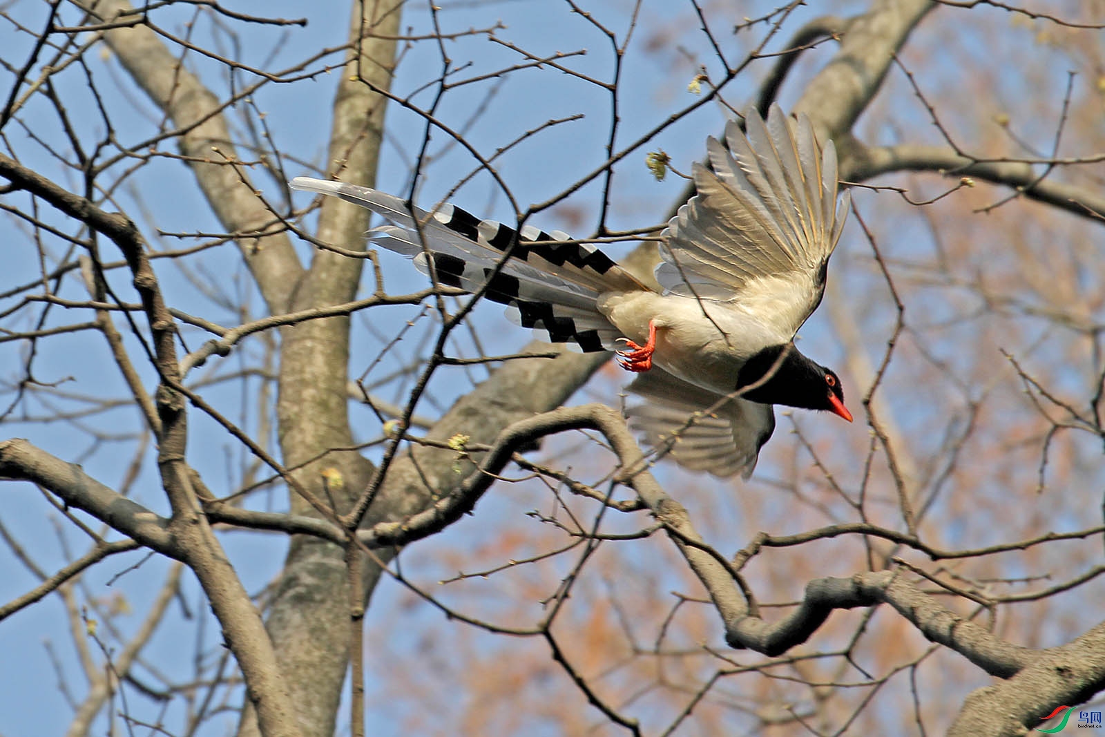 IMG_6321.jpg
