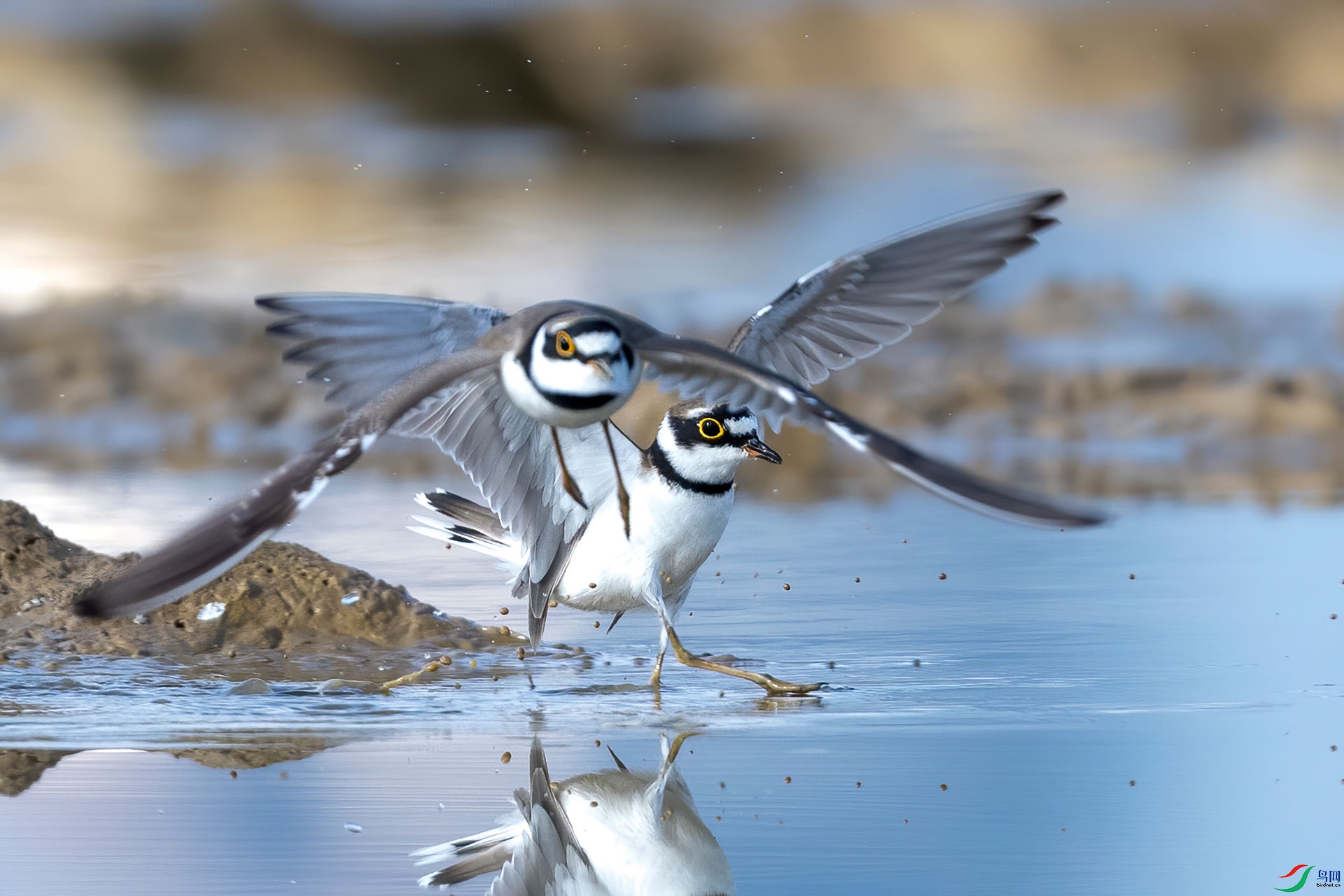 891_����a.jpg
