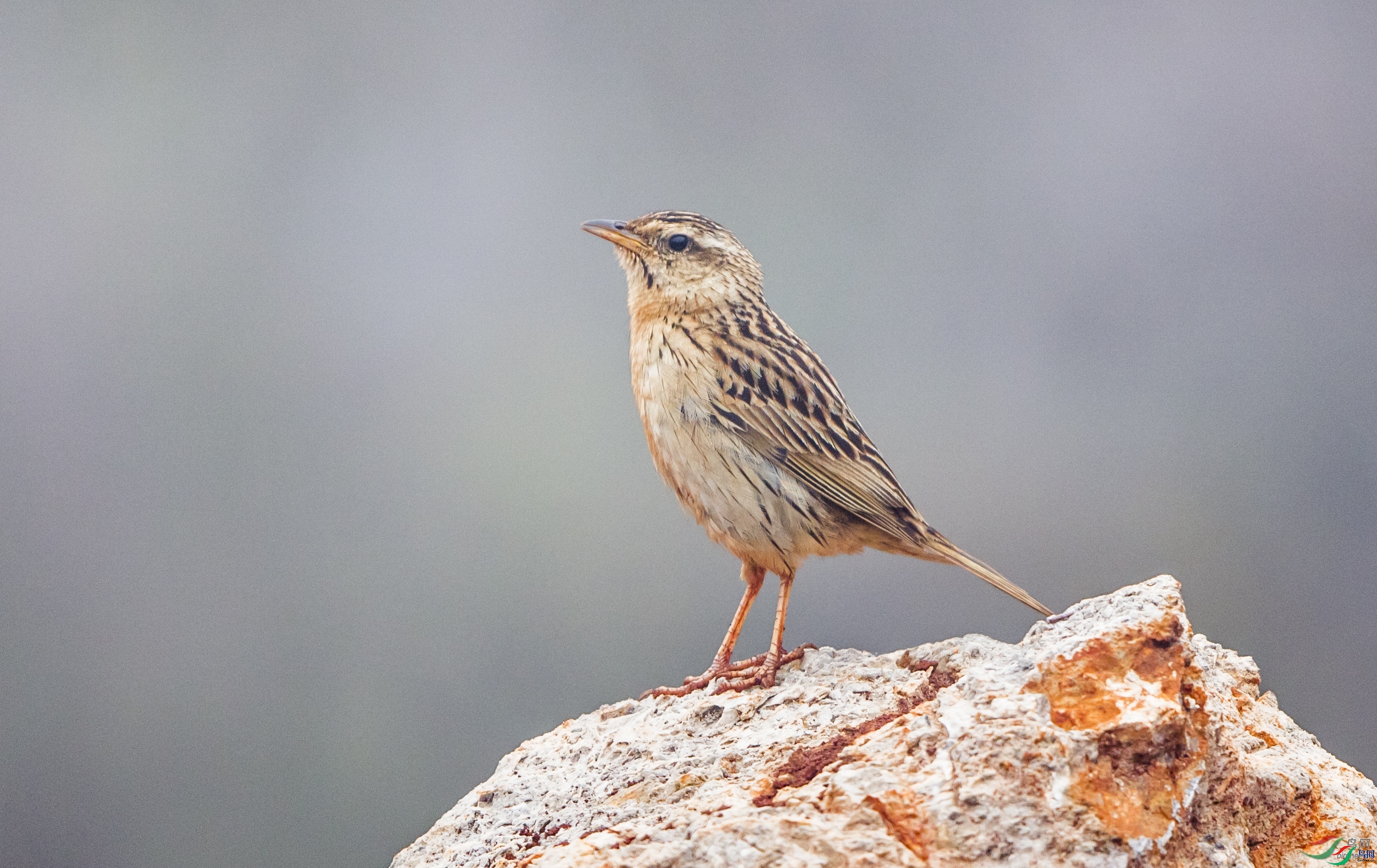 �����б�  ��ʦ����������ʡ��Ϫ�гν���.jpg