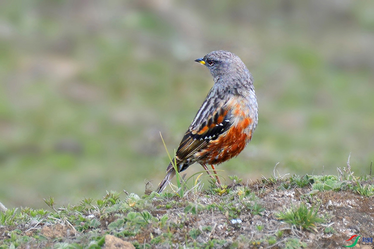 DSC_6893_.jpg