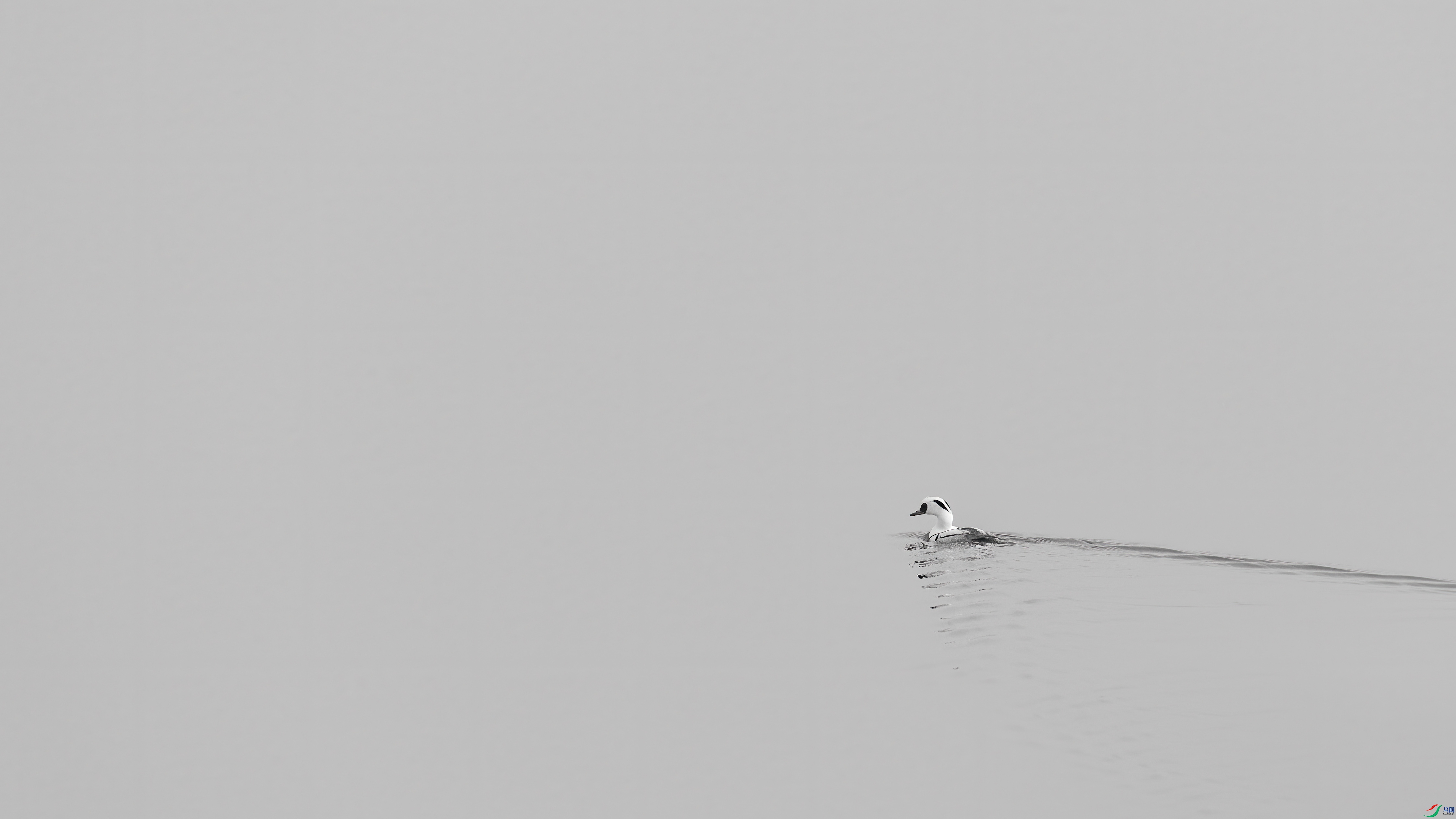 DSC_0907.jpg