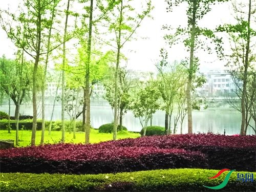 ΢��ͼƬ_20220316110133 - ����.jpg