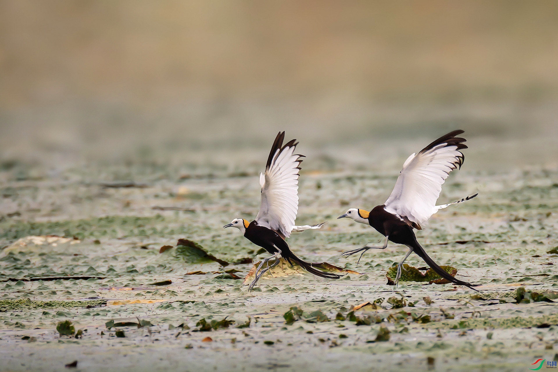 AO3I6624 ���� 2.jpg