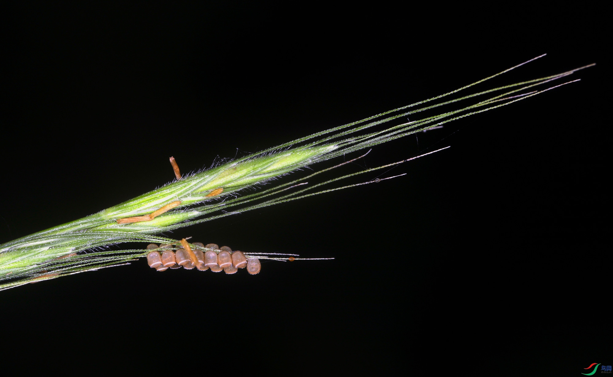 EC6A4713_����.jpg