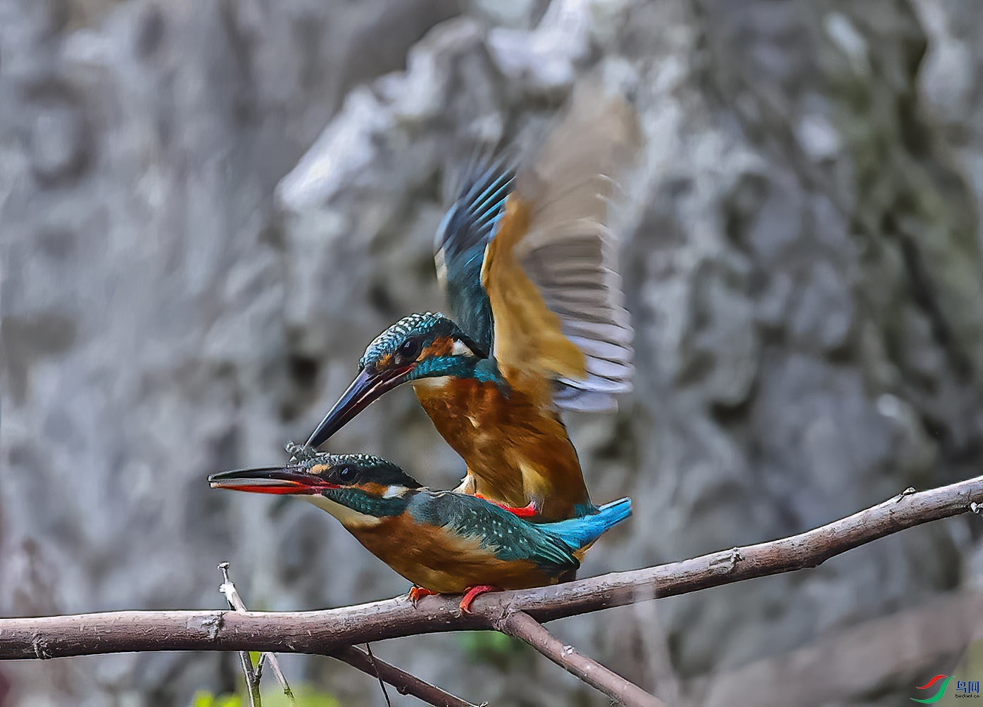 4K3A6305_Trim_Moment 2.jpg