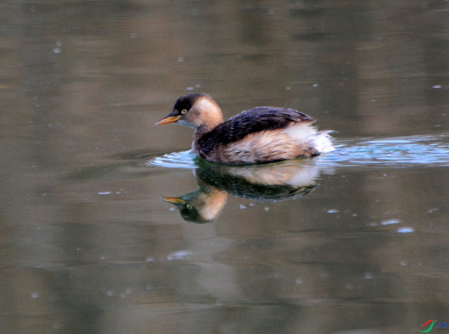 DSC_5107.JPG
