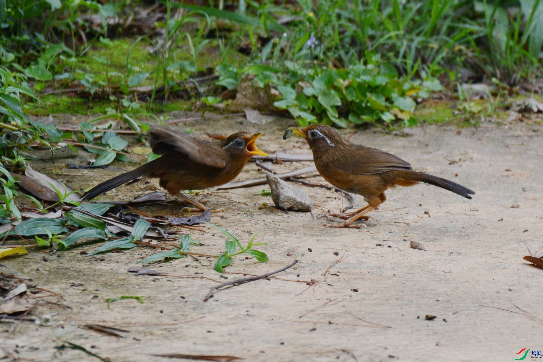 DSC_7955_����.jpg�㽭.jpg