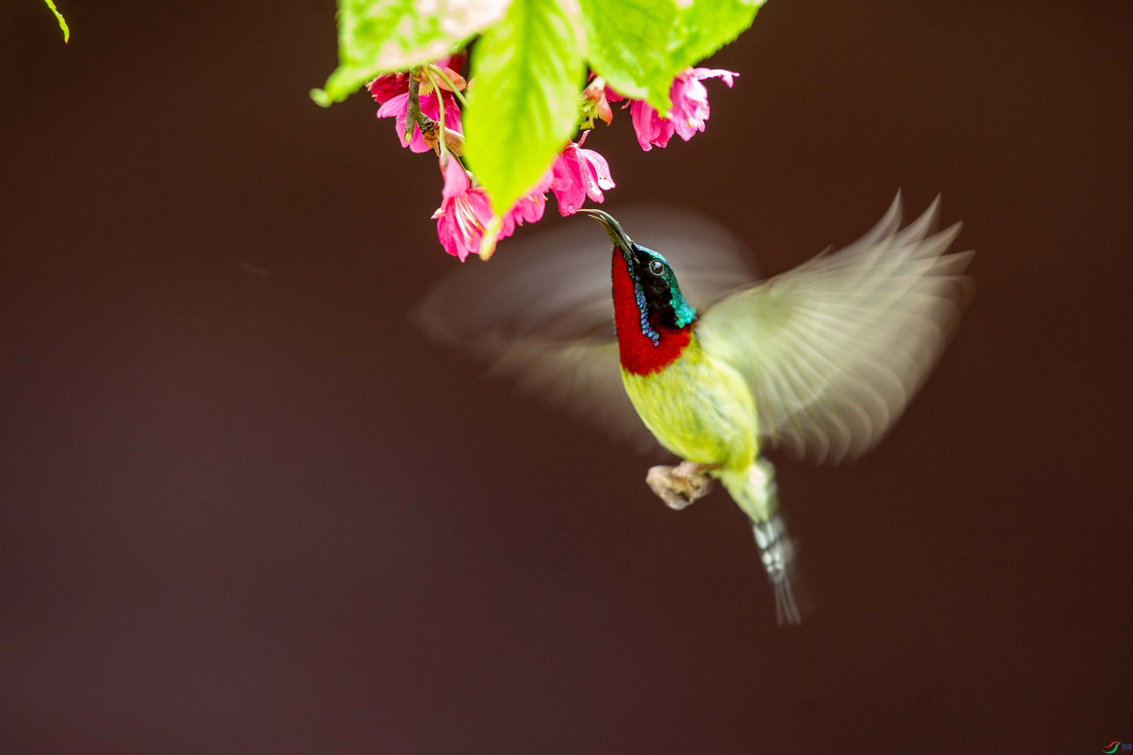 AK2Y7743 ����.jpg