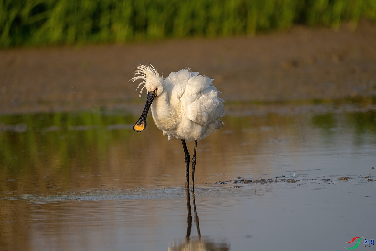 DSC05129-1.jpg