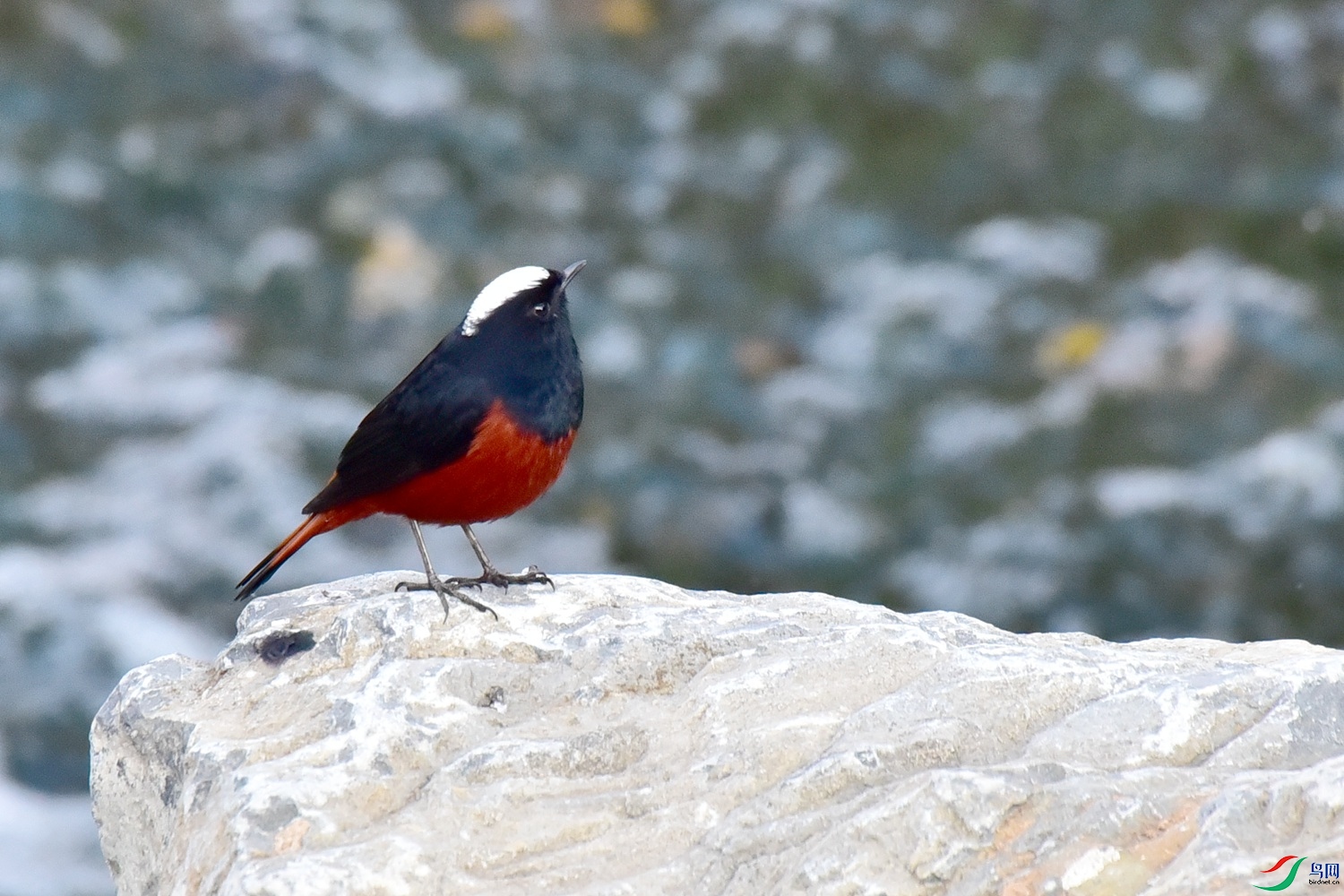 DSC_4359.JPG