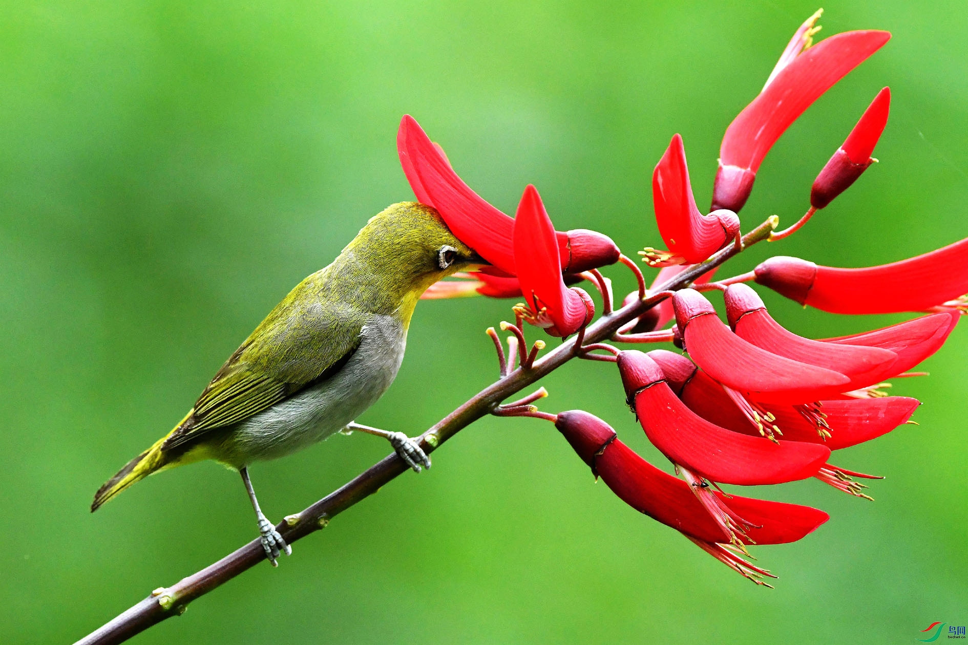 DSC_7849_����.jpg