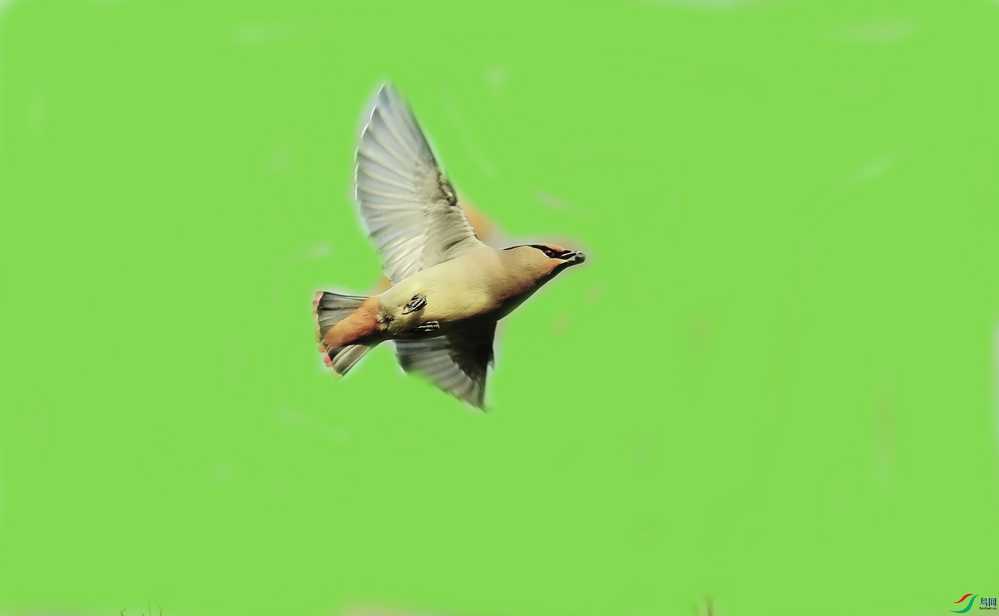 ̫ƽ��.jpg