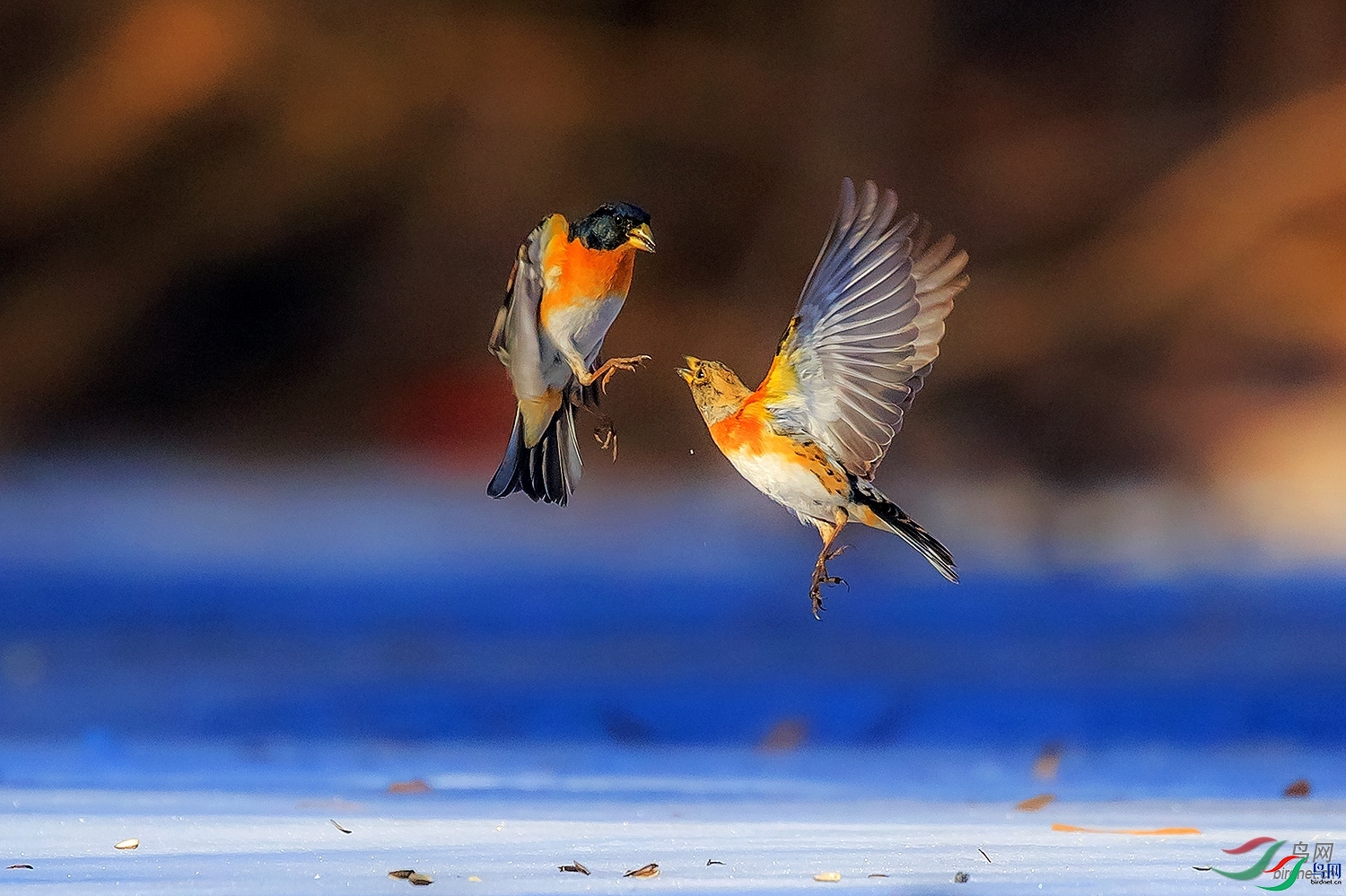 ����55  ��ʦ����.jpg