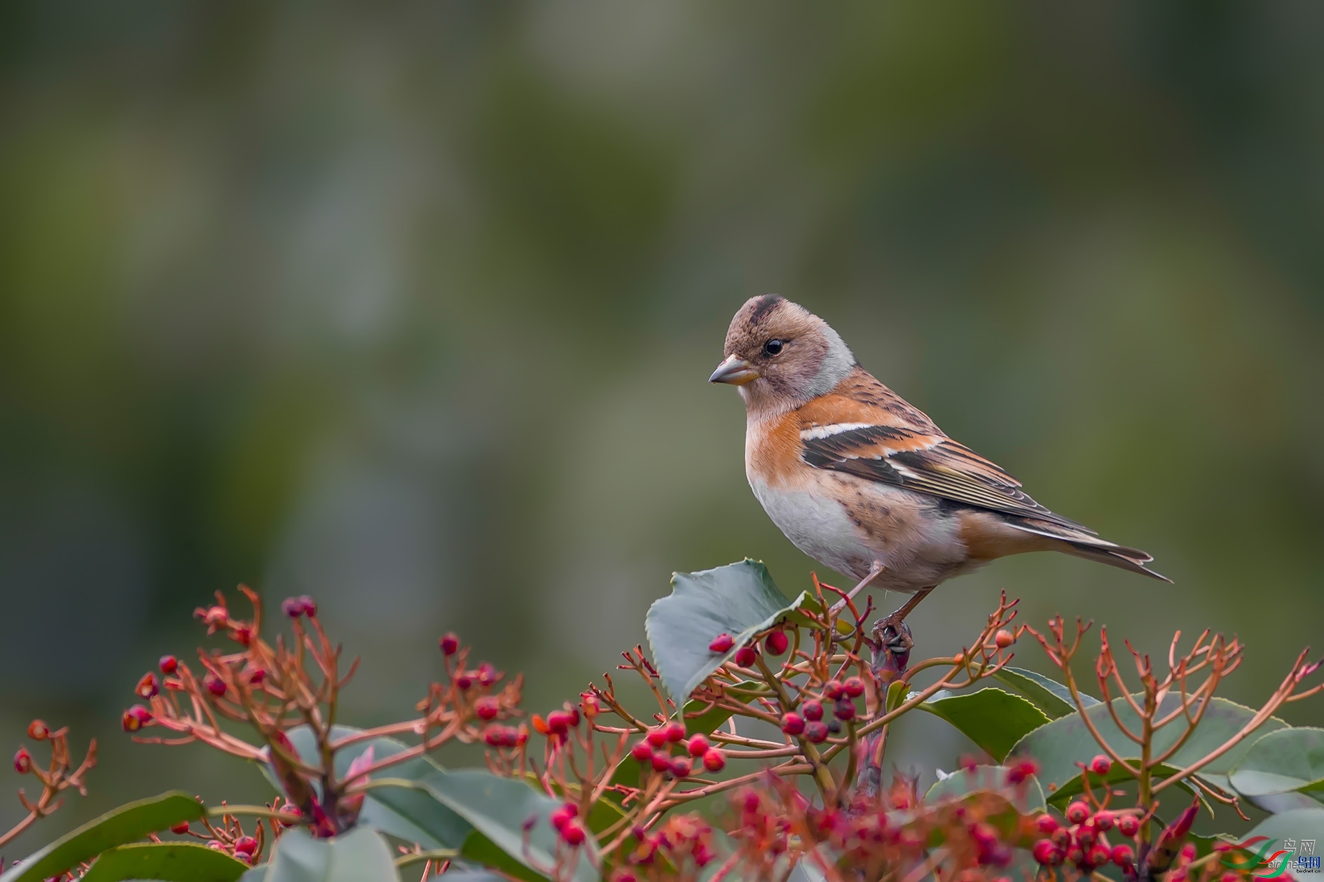 768jianmei  ��ʦ�����ڽ���ʡ������.jpg