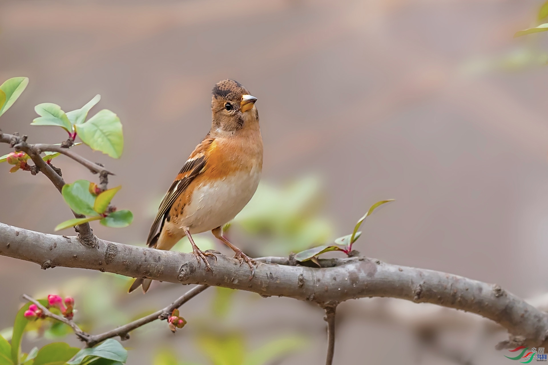 �ѻ�����  ��ʦ�����ڽ���ʡ�Ͼ���.jpg